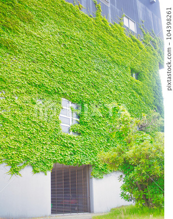 初夏的三條市珍珠金屬體育場 初夏的三條市珍珠金屬體育場 104398261