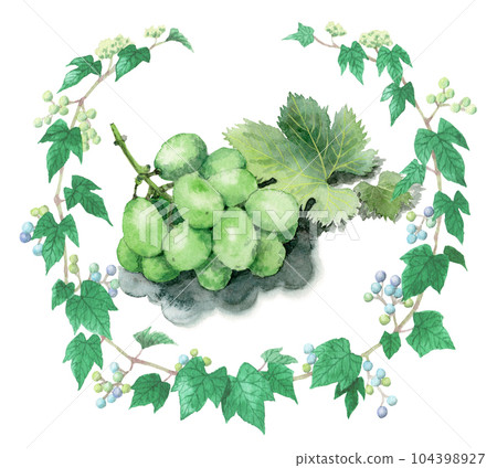 Analog watercolor wild grape circle frame and muscat Analog watercolor wild grape circle frame and muscat 104398927