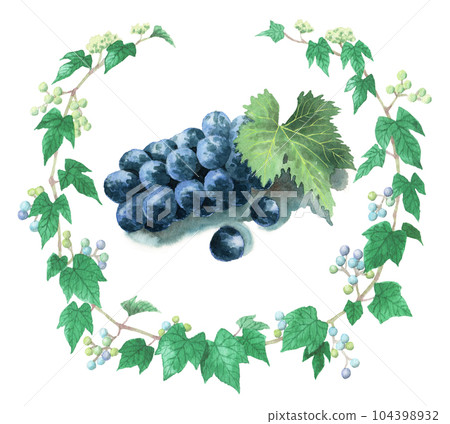 模擬水彩野葡萄圓框和大槍 模擬水彩野葡萄圓框和大槍 104398932