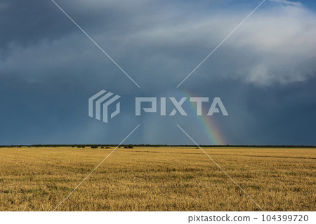 Threatening storm clouds, Pampas, Patagonia, Argentina 104399720