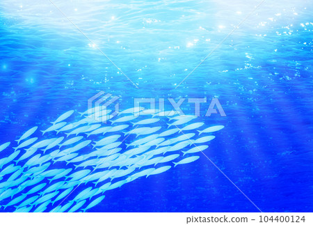 school of fish in the sea school of fish in the sea 104400124