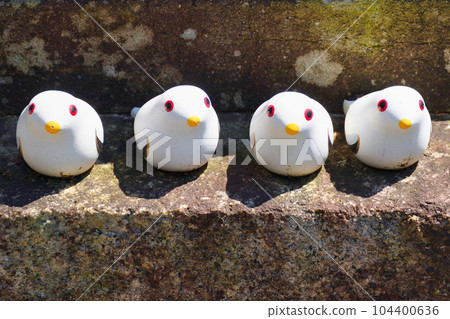 Pigeons of Miyake Hachimangu Shrine (Kamitakano, Sakyo Ward, Kyoto City) 104400636