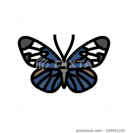 sapho longwing insect color icon vector illustration sapho longwing insect color icon vector illustration 104401303