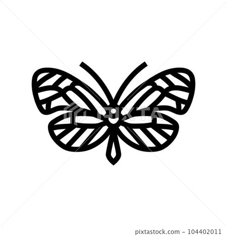glasswing butterfly spring line icon vector illustration glasswing butterfly spring line icon vector illustration 104402011