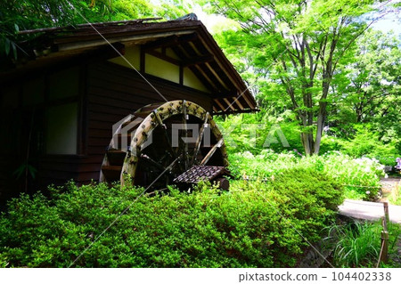 Japanese garden water wheel 104402338