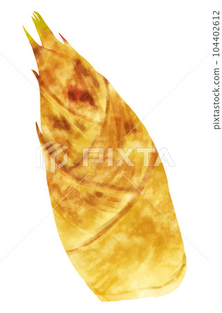 Kyoto bamboo shoots 104402612