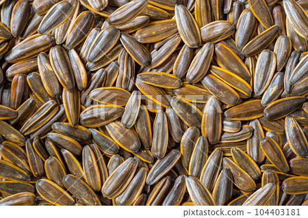 Top view pile of organic salted delicious sunflower seeds. Top view pile of organic salted delicious sunflower seeds. 104403181