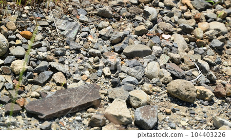 Vacant land, wasteland, weeds, land, vacant lot Vacant land, wasteland, weeds, land, vacant lot 104403226