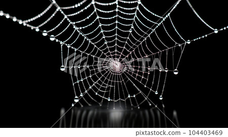 Background of spider web image: detailed CG 104403469
