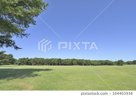 萬里無雲的藍天下，公園裡一片綠色的草原 104403936