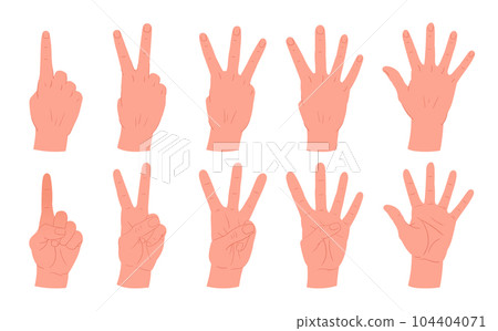 Cartoon counting hands gestures. Human palms with count from one to five gestures, hands with countdown gesture flat vector illustration set 104404071