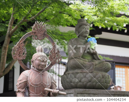 鎌倉長谷寺佛像 鎌倉長谷寺佛像 104404234