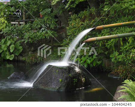 Kamakura Haseji Hosei Pond 104404245