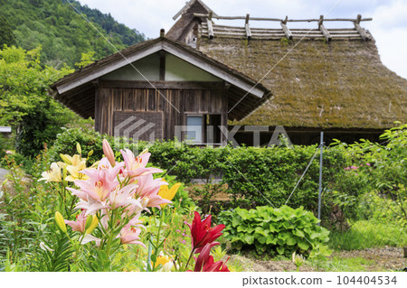 初夏紫陽花盛開的宮山茅吹之裡 初夏紫陽花盛開的宮山茅吹之裡 104404534