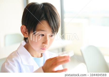 Elementary school boy doing science experiments 104404569