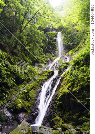 雨瀑（女瀑布） 104404996