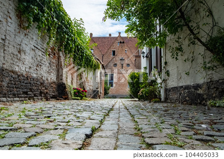 Empty Cobblestone street or laneway in the Groot Begijnhof, the large beguinage of the medieval city Empty Cobblestone street or laneway in the Groot Begijnhof, the large beguinage of the medieval city 104405033