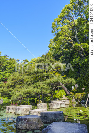 Kyoto Heian Jingu Shrine Nakashinen Garden Garyu Bridge Fresh green season 104405098
