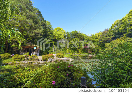 京都平安神宮中信念花園臥龍橋新綠季節 京都平安神宮中信念花園臥龍橋新綠季節 104405104