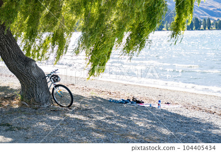 新西蘭瓦納卡湖和樹蔭下的自行車 新西蘭瓦納卡湖和樹蔭下的自行車 104405434