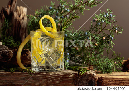 Cocktail gin-tonic with ice, lemon, and rosemary in a crystal glass. Cocktail gin-tonic with ice, lemon, and rosemary in a crystal glass. 104405901