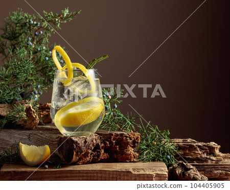 Cocktail gin-tonic with ice, lemon, and rosemary in a frozen glass. Cocktail gin-tonic with ice, lemon, and rosemary in a frozen glass. 104405905