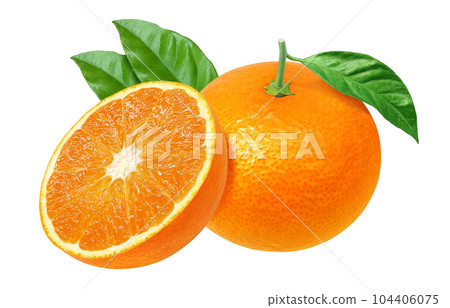 橙色插畫現實 104406075