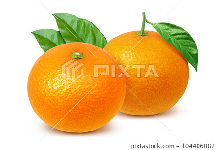 orange illustration real 104406082