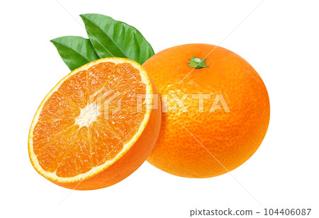 Kiyomi orange illustration real Kiyomi orange illustration real 104406087