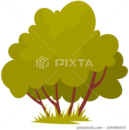 Small bush. Green shrub. Garden plant with long branches 104406543