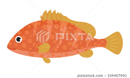 Illustration of a cute grouper 104407091