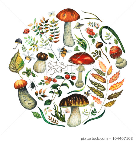 Watercolour round composition with wild forest mushrooms, insects, leaves, herbs. Greeting card template, banner, decoration with red fly agarics, porcini, red mushrooms, leaves, grass, toadstools 104407108
