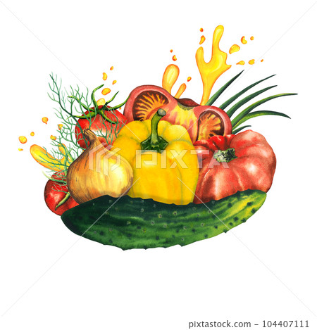 Watercolor vegetables gazpacho soup composition with cut tomato, cucumber, cherry tomato, bell paper, onion, green onion, dill, watercolour splashes and drops. Hand drawn illustration for package 104407111
