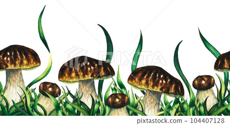Watercolour seamless border with edible mushrooms porcini boletus and greenery, blade of grass, hand drawn illustration on white background 104407128
