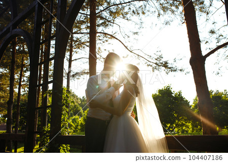 Lovely wedding couple at sunset. Bride, groom in wedding attire with bouquet of flowers. Romantic. Lovely wedding couple at sunset. Bride, groom in wedding attire with bouquet of flowers. Romantic. 104407186