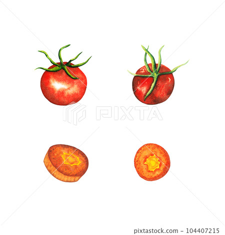 Watercolor hand drawn red cherry tomato, and orange cut carrot set, vegetable isolated on white background. healthy plants for print, fabric, banner 104407215