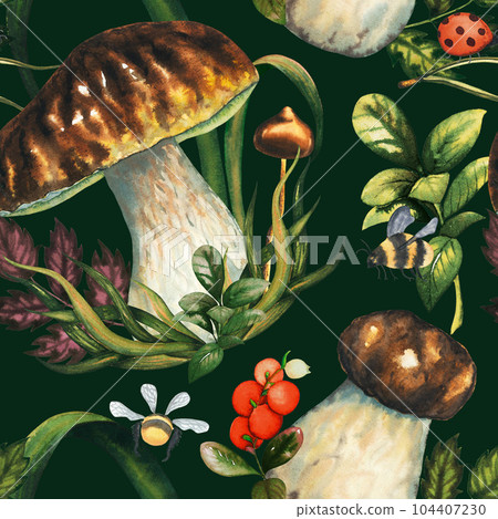Seamless watercolour mushrooms pattern with porcini, leaves, cranberries, pine needle, bumblebee, ladybug. Isolated hand drawn illustration on dark background 104407230