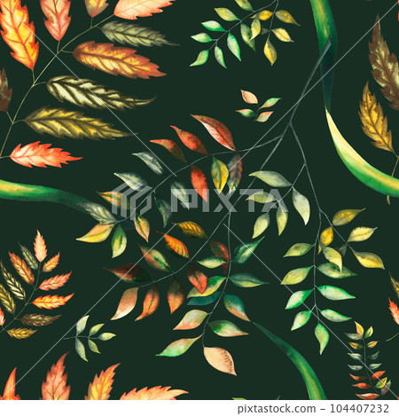 Watercolour seamless pattern with autumn wild forest leaves and blueberry herbs hand drawn illustration on dark background Watercolour seamless pattern with autumn wild forest leaves and blueberry herbs hand drawn illustration on dark background 104407232