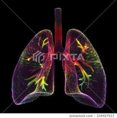 Human lungs. SARS disease, coronaviruses in the lungs. The coronavirus causes severe SARS disease. Low poly wireframe style 104407913