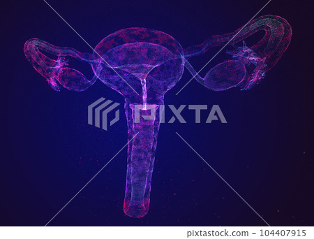 Female Reproductive System with Nervous System and Urinary Bladder Anatomy. 3d illustration 104407915