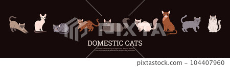 Domestic cats banner design with breeds of animals, flat vector illustration. Domestic cats banner design with breeds of animals, flat vector illustration. 104407960