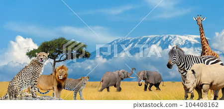 Landscape with many african animals 104408162