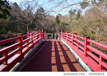 Momiji Valley in Yahiko Park (Niigata Prefecture) Momiji Valley in Yahiko Park (Niigata Prefecture) 104408638