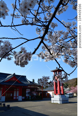彌彥公園的櫻花(新潟縣) 彌彥公園的櫻花(新潟縣) 104409166