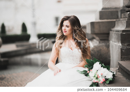 Beautiful fashion bride in wedding dress posing Beautiful fashion bride in wedding dress posing 104409684