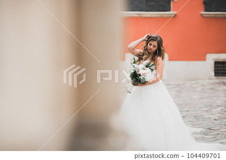 Beautiful fashion bride in wedding dress posing Beautiful fashion bride in wedding dress posing 104409701