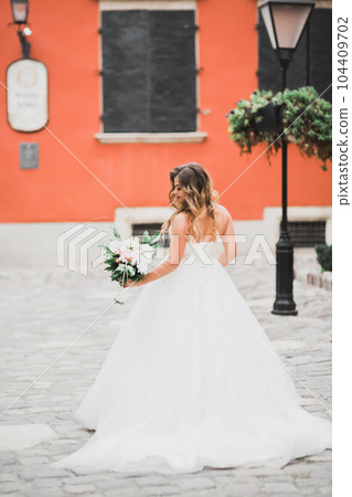 Beautiful fashion bride in wedding dress posing Beautiful fashion bride in wedding dress posing 104409702