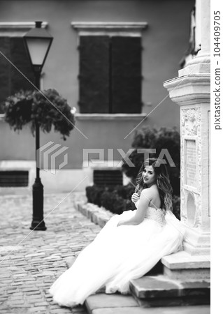 Beautiful fashion bride in wedding dress posing Beautiful fashion bride in wedding dress posing 104409705