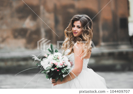 Beautiful fashion bride in wedding dress posing Beautiful fashion bride in wedding dress posing 104409707