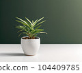 House plant in pot, isolated in white bright background, decorative indoor plant, AI generated image 104409785